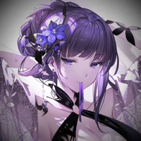 Ruyfuki Salleis