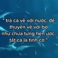 An Nhi