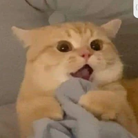 T/G