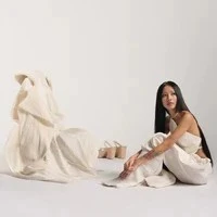 Hoàng Lâm Trang Anh