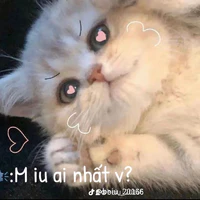 Gọi toi là j cx đc:))