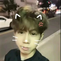 Hữu Đạt (phoenix / phượng hoàng lỏ)