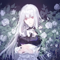 Mikoto  suzuki