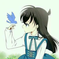kudo kazumi