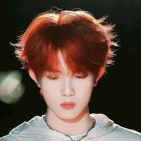 Tô Tân Hạo_y