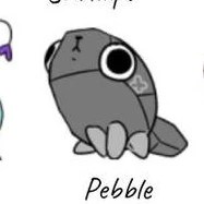 Pebble