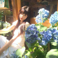 twinkle -cừu