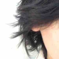 Tác giả cũng muốn có vai