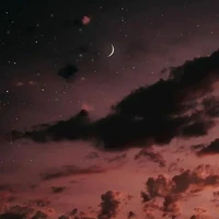 T/g