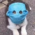 Thiên Thiên