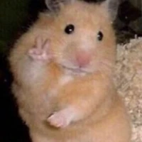 Hệ thống 037 ( riychisa)