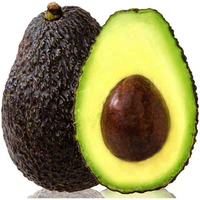 vuờn bơ 🥑