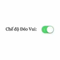 Đang quạo!
