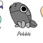 Pebble