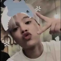 Roái đờ