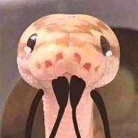 XaXa 🐍