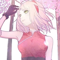 Sakura
