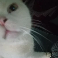 ?
