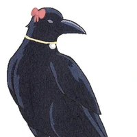 Koochi