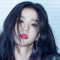 kim Jisoo ( chị)