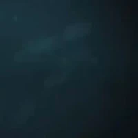 [?]