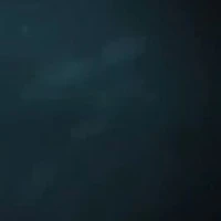 [?]