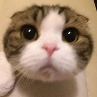 Cân mọi loại vai