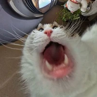 Tác giả thỉu năng