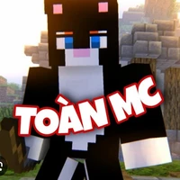 Toàn