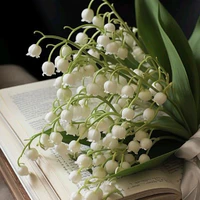All (trừ ai thì trừ )