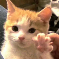 Toy là tg đz nhưng bị lười>< 😼