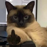 <cả lớp>