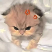 (Tg)⋆ ˚｡⋆୨ ʚBread (Tg)ɞ ୧⋆ ˚｡⋆