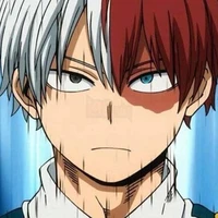 Todoroki shoto
