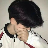 Trần phương bảo liên