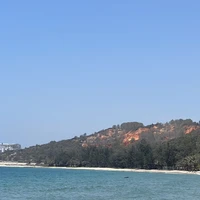 Cừu Bôngg