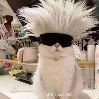 con tác giả xàm lozzz(em gái cap)