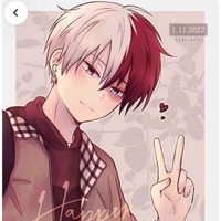 Todoroki Shouto
