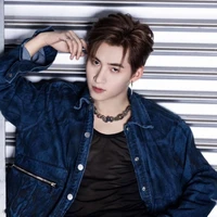 Huỳnh Hoàng Hùng (Gemini)