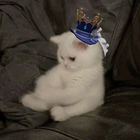 ???