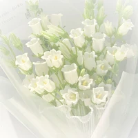 All