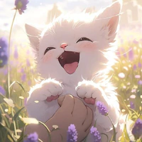 Tác giả ( mèo )
