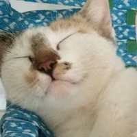 T/g