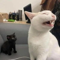 t/g nghiện mồn lèo🤡