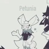 Petunia
