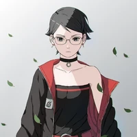 Uzumaki/Uchiha Sarada