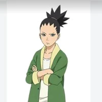 Nara Shihadai