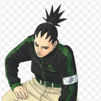 Nara Shikadai