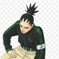 Nara Shikadai