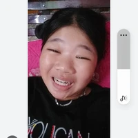 Mai chó